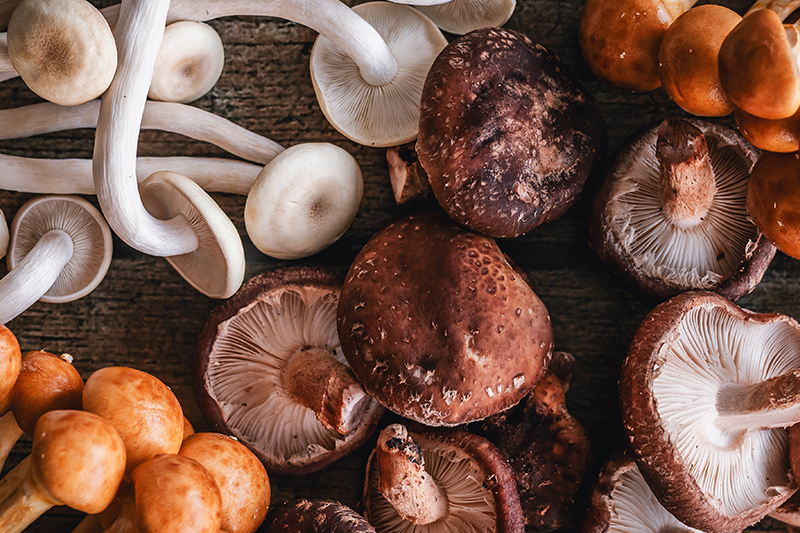 Sterling Aromi presenta la molecola del mese: 1-otten-3-olo